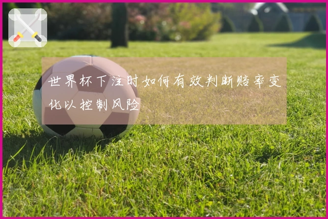 世界杯下注时如何有效判断赔率变化以控制风险