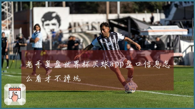老手复盘世界杯买球app盘口信息怎么看才不掉坑