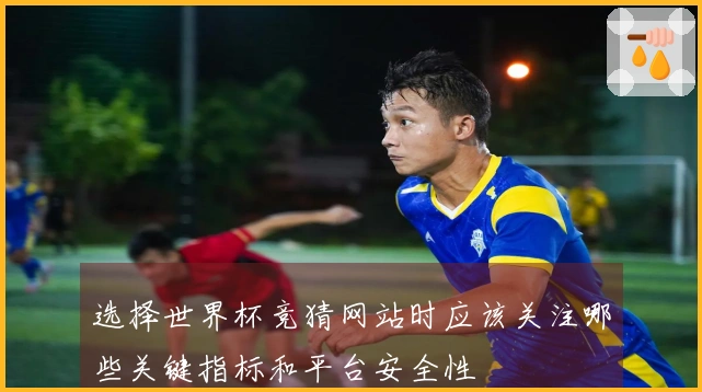 选择世界杯竞猜网站时应该关注哪些关键指标和平台安全性