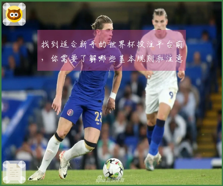 找到适合新手的世界杯投注平台前，你需要了解哪些基本规则和注意事项